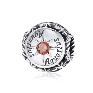 (Bild für) Charm „Glänzender Wassermann“ im Pandora-Stil - SCC1725-11