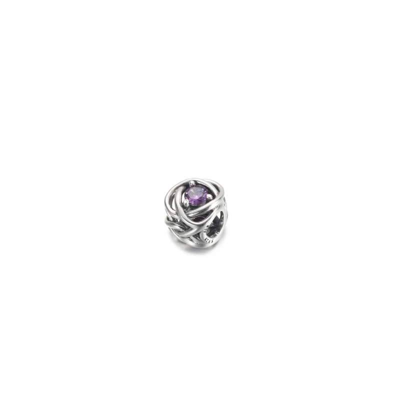 (Bild für) PANDORA Februar Lila Eternity Circle Charm - 790065C02 - Ansicht 2
