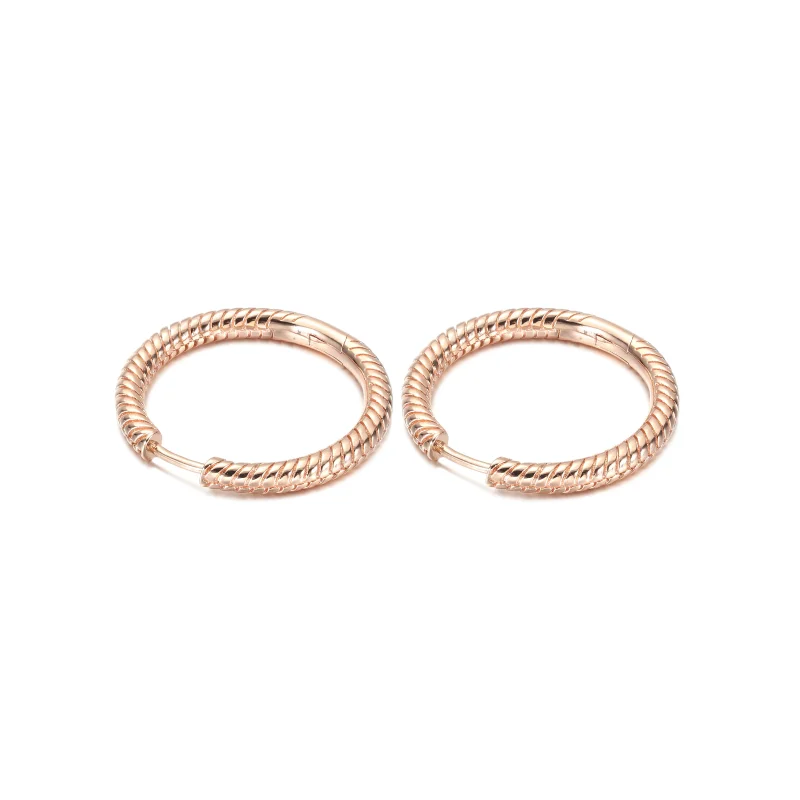 (Bild für) Pandora Moments Charm-Creolen - 289532C00 - Ansicht 3