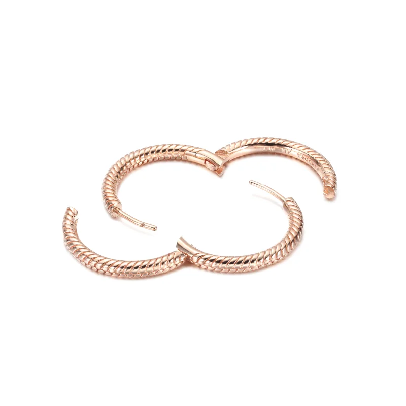 (Bild für) Pandora Moments Charm-Creolen - 289532C00 - Ansicht 4