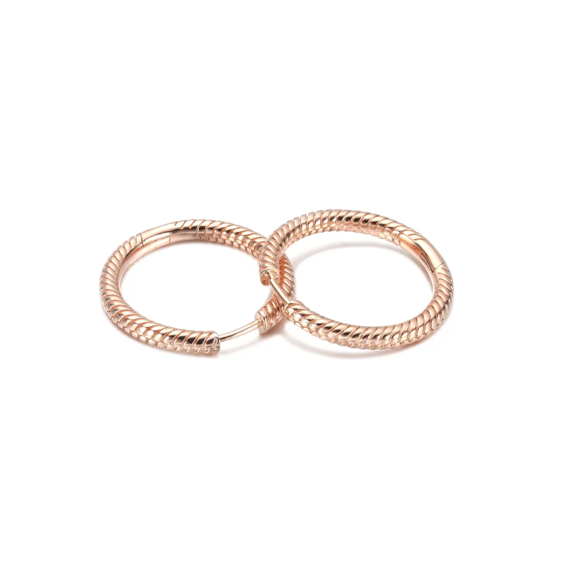 (Bild für) Pandora Moments Charm-Creolen - 289532C00 - Ansicht 5
