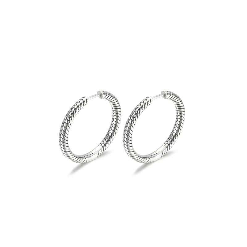 (Bild für) Pandora Moments Charm-Creolen - 299532C00 - Ansicht 5