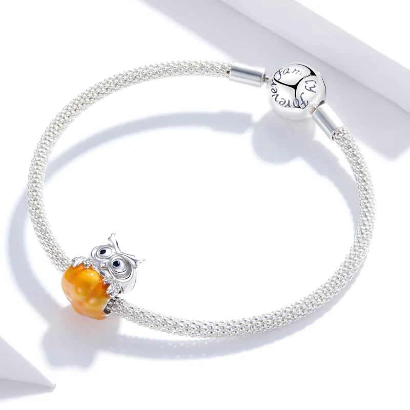(Bild für) Silberner Kürbis-Eulen-Charm im Pandora-Stil - BSC342 - Ansicht 3