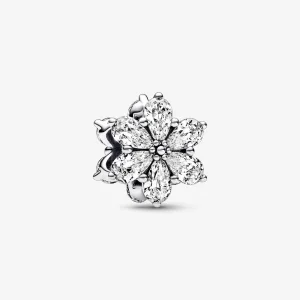 (Bild für) Pandora Funkelndes Herbarium Cluster Charm - 792623C01