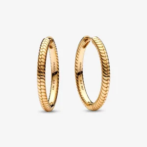 (Bild für) Pandora Moments Charm-Reifohrringe - 269532C00