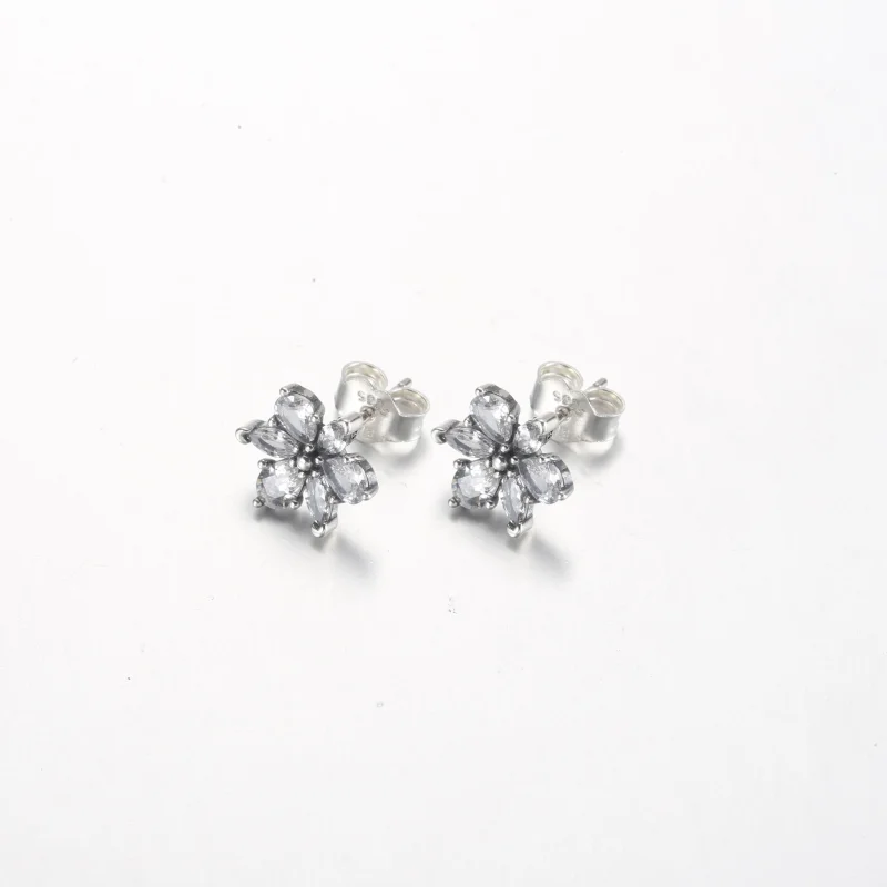(Bild für) Pandora Sparkling Herbarium Cluster Steckerohrringe - 292633C01 - Ansicht 2