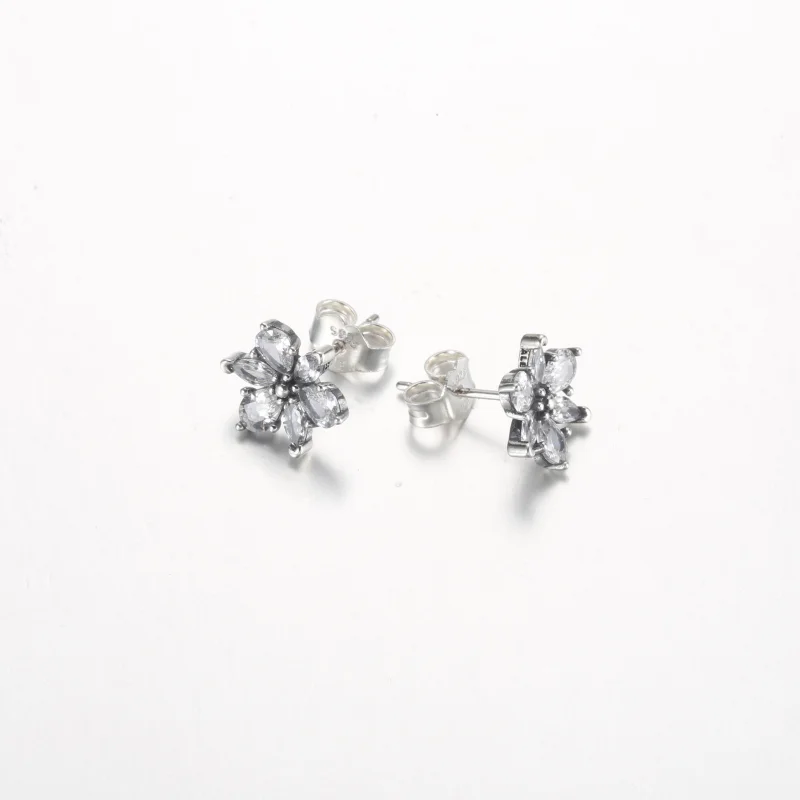 (Bild für) Pandora Sparkling Herbarium Cluster Steckerohrringe - 292633C01 - Ansicht 5
