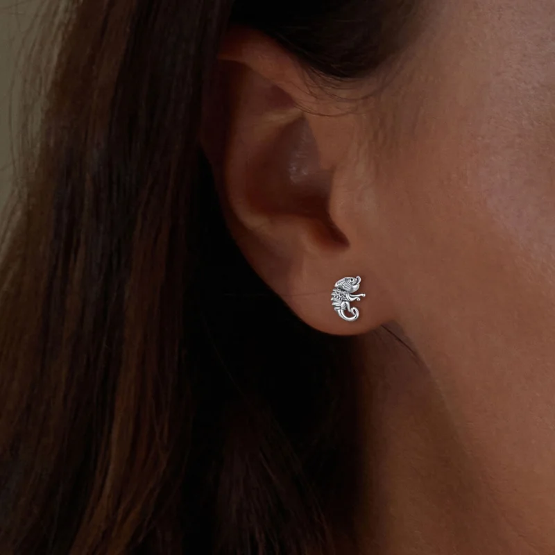 (Bild für) Pandora Style Chamäleon-Stecker Ohrringe - SCE1661 - Ansicht 5