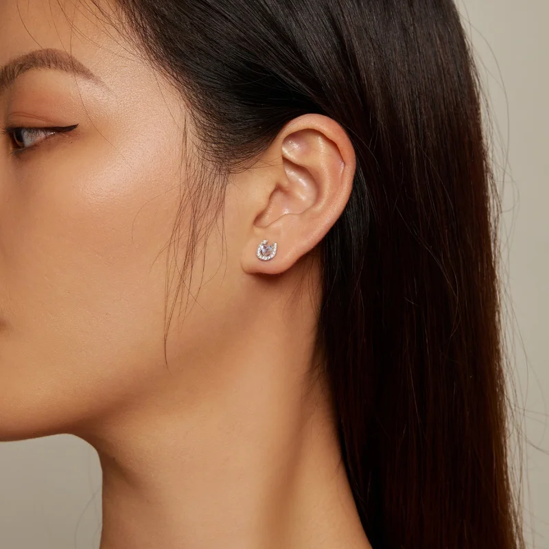 (Bild für) Pandora Style Hufeisen Runde Ohrstöpsel Stecker Ohrringe - SCE1612 - Ansicht 5