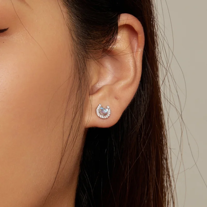 (Bild für) Pandora Style Hufeisen Runde Ohrstöpsel Stecker Ohrringe - SCE1612 - Ansicht 7