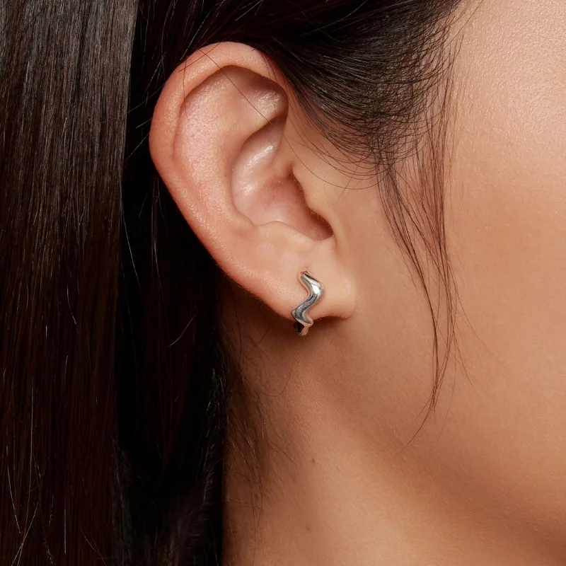 (Bild für) Pandora Style Wave Hoop Ohrringe - SCE1624 - Ansicht 3