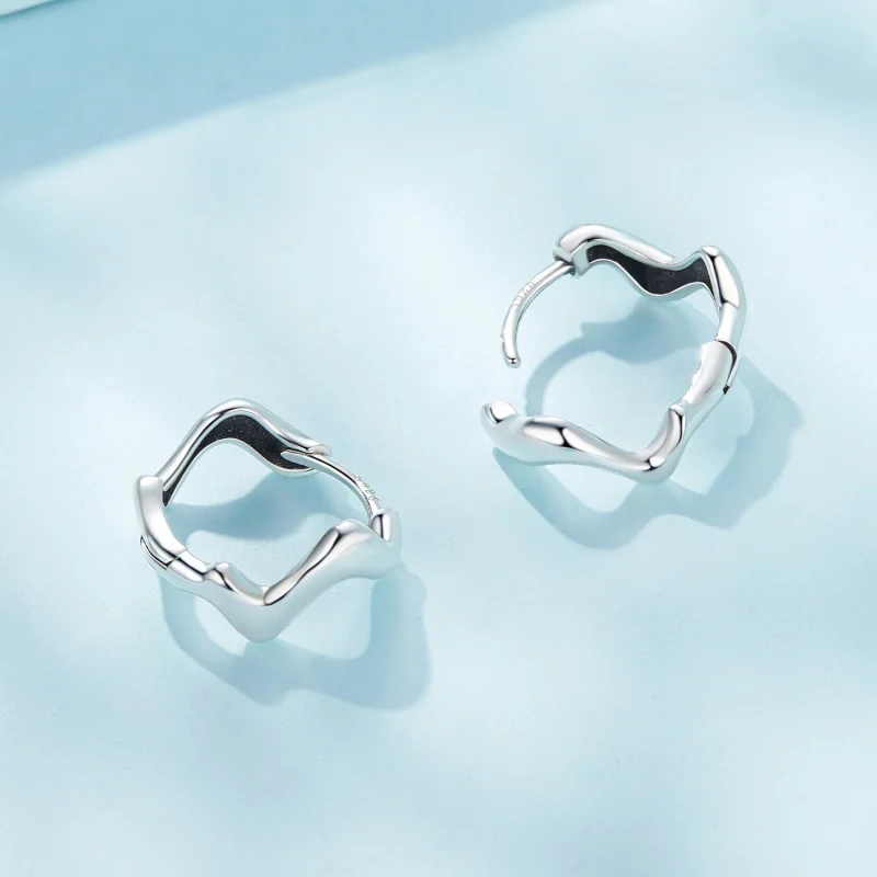 (Bild für) Pandora Style Wave Hoop Ohrringe - SCE1624 - Ansicht 4