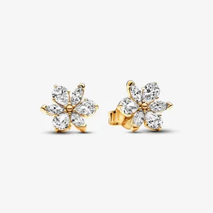 (Bild für) Pandora Sparkling Herbarium Cluster Steckerohrringe - 262633C01