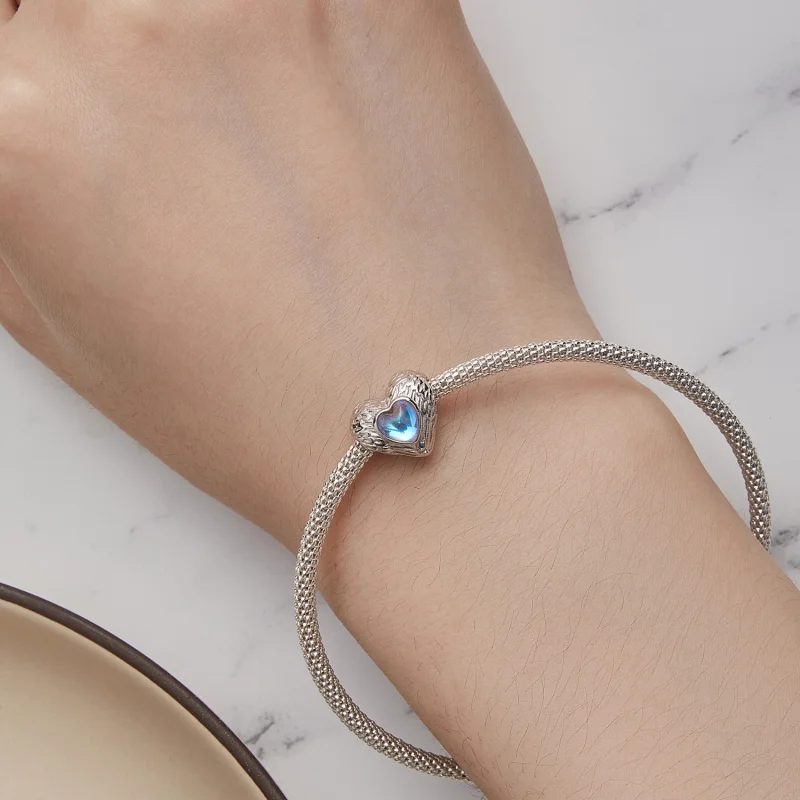 (Bild für) Charm „Wächter des Herzens“ im Pandora-Stil - BSC867 - Ansicht 7