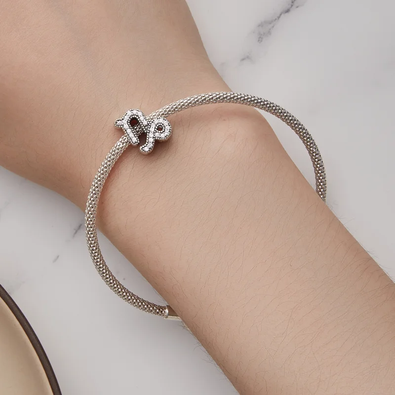 (Bild für) Glücksbringer-Sternzeichen-Charm „Steinbock“ im Pandora-Stil - SCC2516-10 - Ansicht 6