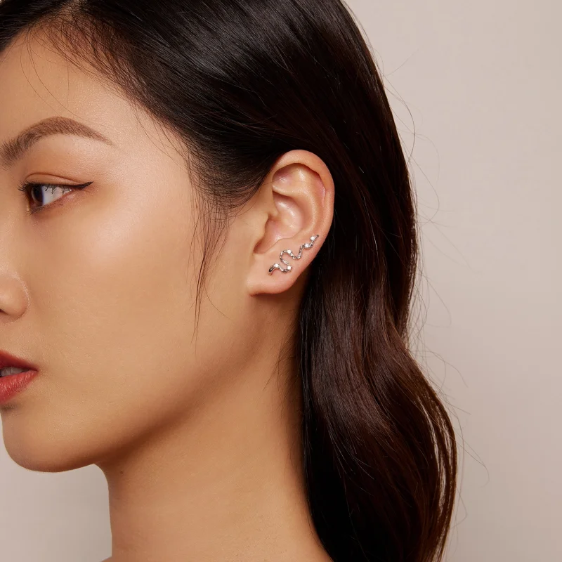 (Bild für) Ohrstecker mit Strukturlinien im Pandora-Stil - SCE1599 - Ansicht 5