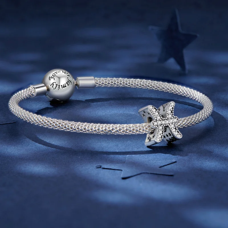 (Bild für) Sternzeichen-Charm „Fische“ im Pandora-Stil - SCC2516-11 - Ansicht 5