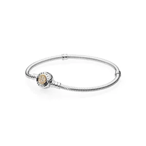 (Bild für) Pandora Armband Mit Zwei Charms - 590741CZ