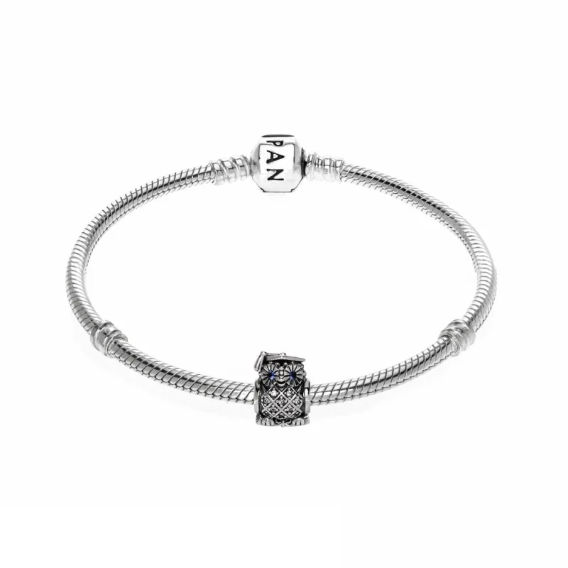 (Bild für) PANDORA-Armband zum Abschluss - 285279
