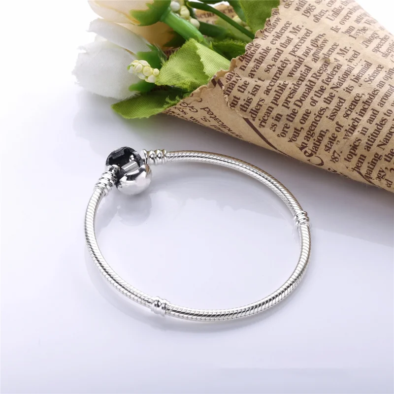 (Bild für) PANDORA Wonderful World Armband - PE00045-1 - Ansicht 3