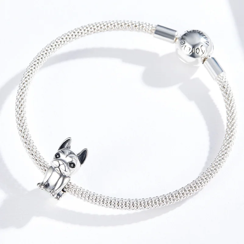 (Bild für) Charm-Anhänger „Französische Bulldogge“ aus Silber im Pandora-Stil - SCC1306 - Ansicht 5
