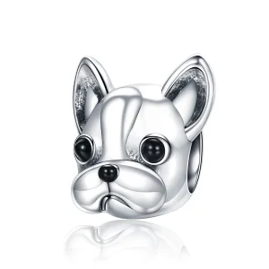 (Bild für) Französische Bulldogge Pandora - SCC315