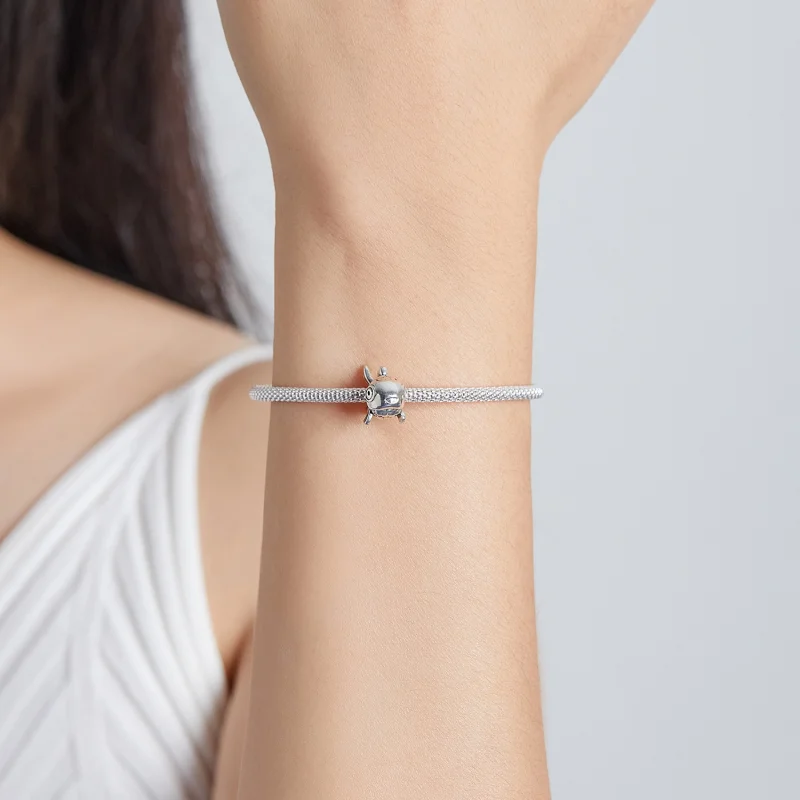 (Bild für) Pandora Charms Reduziert - BSC543 - Ansicht 5