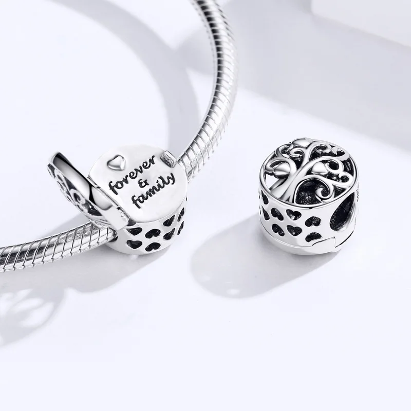 (Bild für) Silberner „Forever & Family“-Charm im Pandora-Stil - SCC1259 - Ansicht 5