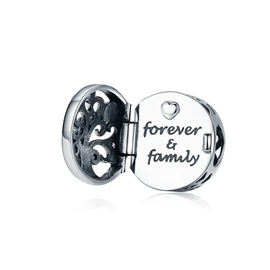 (Bild für) Silberner „Forever & Family“-Charm im Pandora-Stil - SCC1259