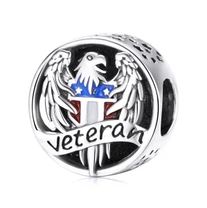 (Bild für) Silberner Veteranen-Charm im Pandora-Stil - SCC1885