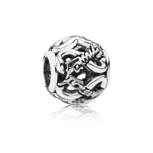 (Bild für) PANDORA Family Forever Openwork-Charm - 791525CZ