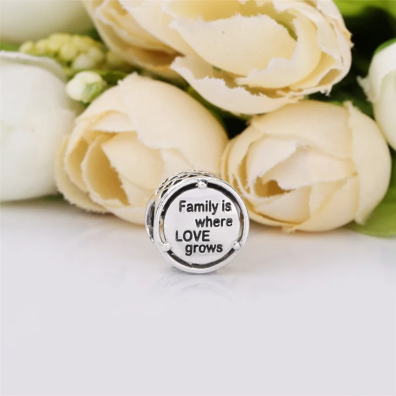 (Bild für) PANDORA Family Roots Charm - 797590 - Ansicht 3