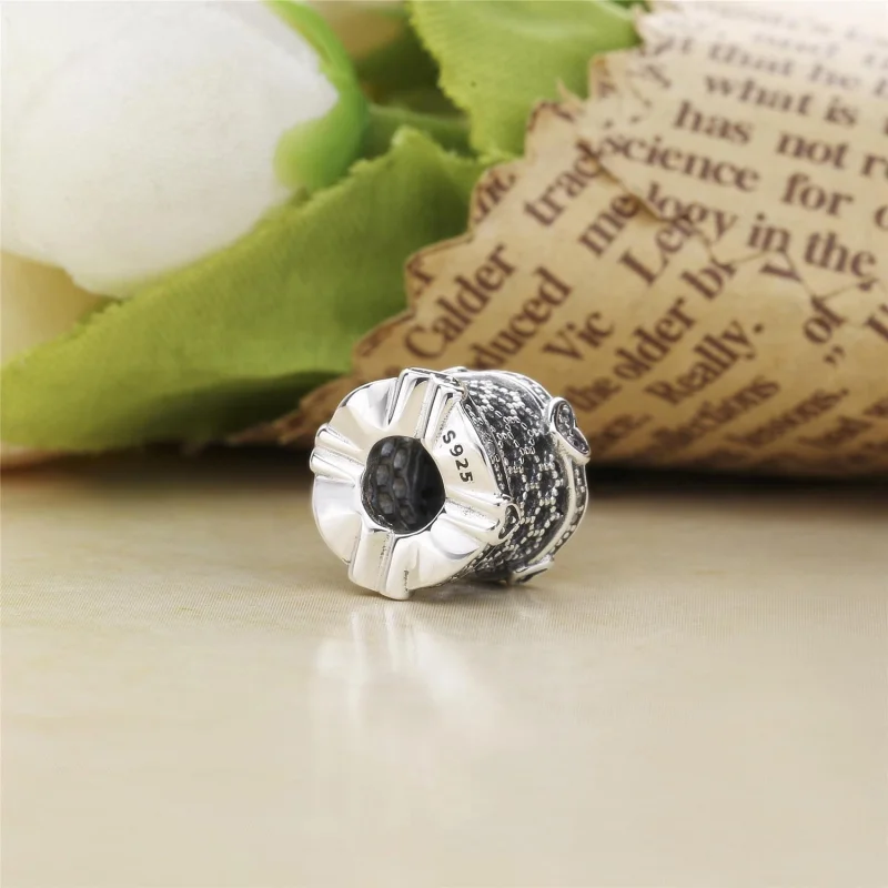 (Bild für) PANDORA Lace of Love Spacer, klare CZ - 797653CZ - Ansicht 4