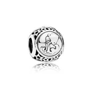 (Bild für) PANDORA Sternzeichen-Charm Wassermann - 791934
