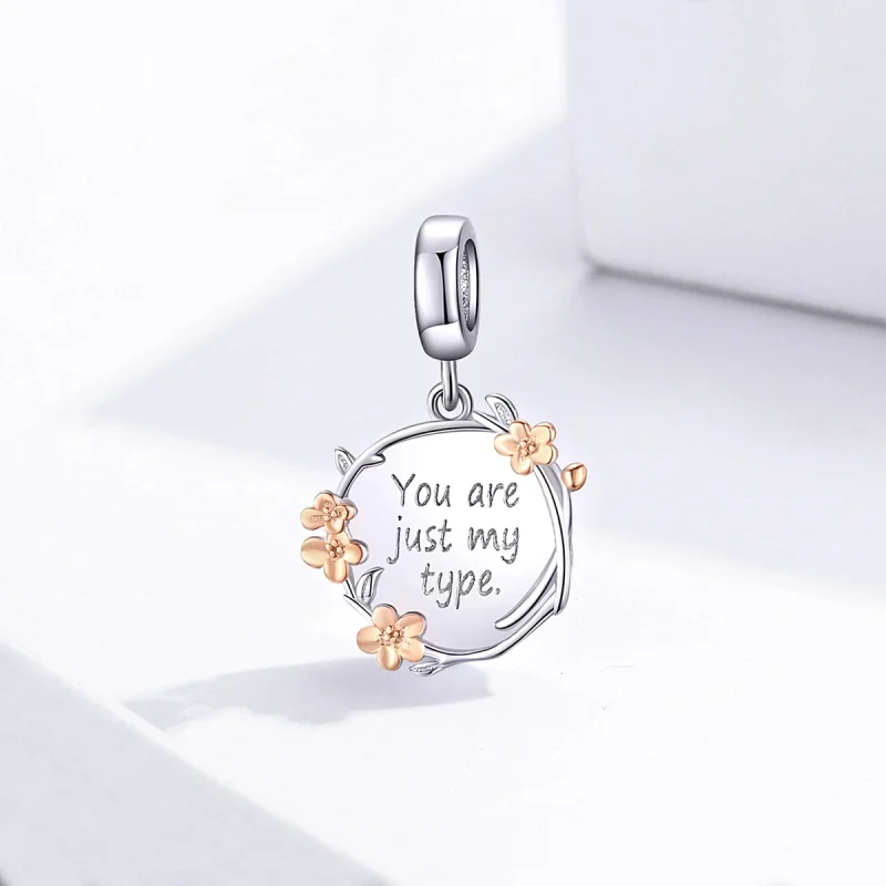 (Bild für) Zweifarbiger zweifarbiger „You Are Just My Type“-Anhänger im Pandora-Stil - BSC1 - Ansicht 2