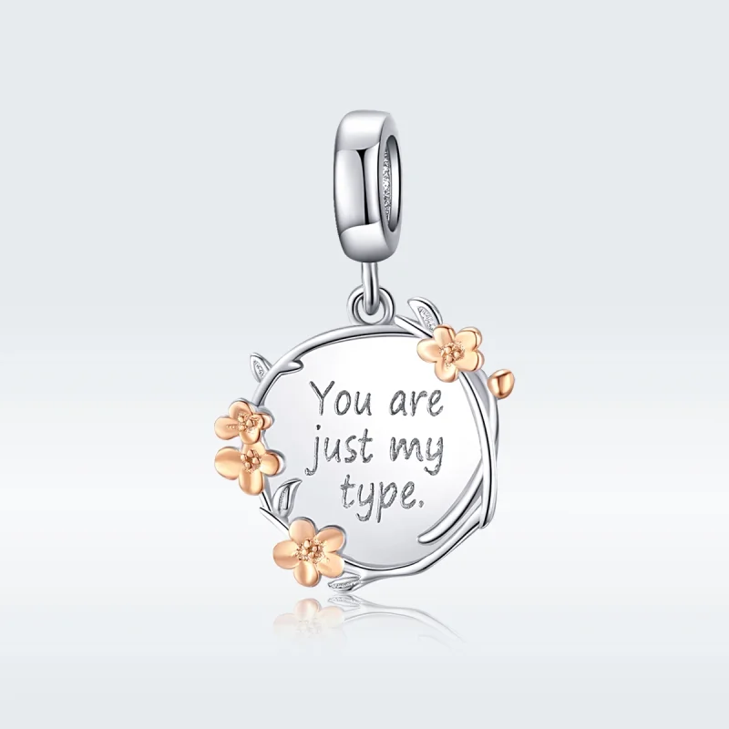 (Bild für) Zweifarbiger zweifarbiger „You Are Just My Type“-Anhänger im Pandora-Stil - BSC1 - Ansicht 5