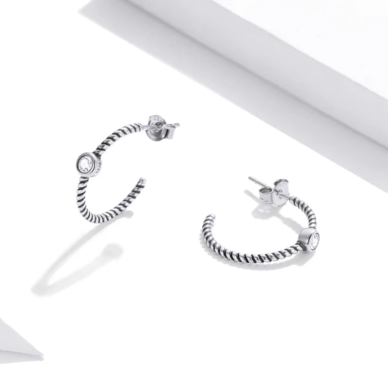 (Bild für) Einfache Ohrstecker aus Silber im Pandora-Stil - SCE1122 - Ansicht 3