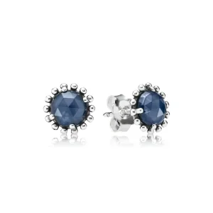 (Bild für) PANDORA Shining Midnight Crystal Ohrstecker - 290561NBC