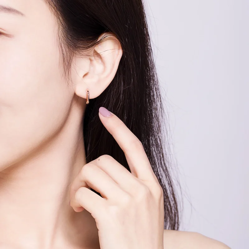 (Bild für) Schlichte Creolen im Pandora-Stil aus Roségold - BSE119 - Ansicht 9