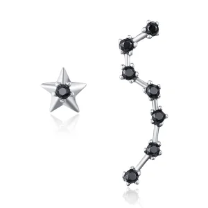 (Bild für) Silberne Big Dipper-Ohrstecker im Pandora-Stil - SCE166