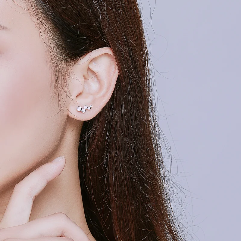 (Bild für) Silberne glänzende Eleganz-Ohrstecker im Pandora-Stil - BSE235 - Ansicht 5