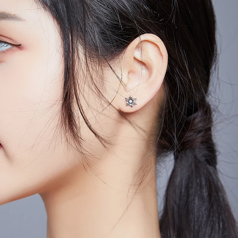 (Bild für) Silberne Schmetterlings- und Blumen-Ohrstecker im Pandora-Stil - SCE884 - Ansicht 5