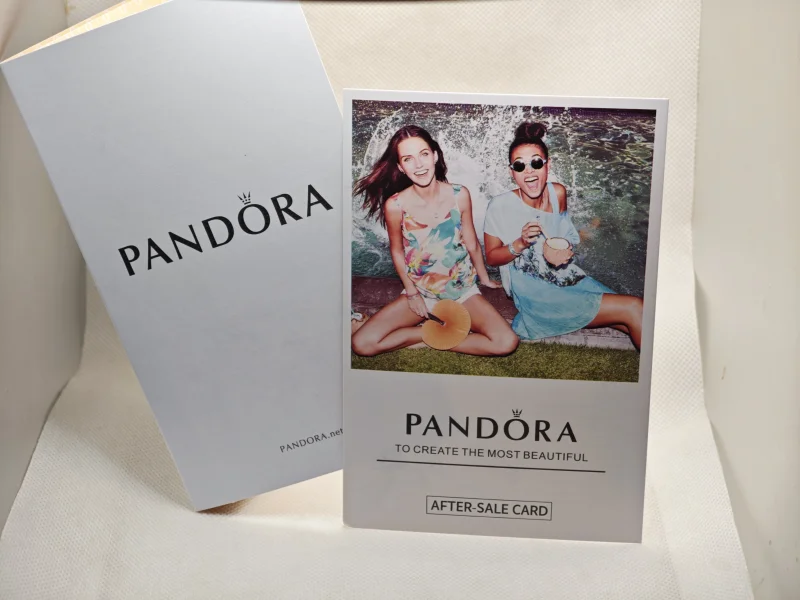 (Bild für) PANDORA Pakete01 - PG_001 - Ansicht 4