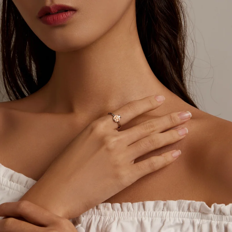 (Bild für) Offener Ring im Pandora-Stil mit orangefarbenem Marienkäfer - SCR774 - Ansicht 5