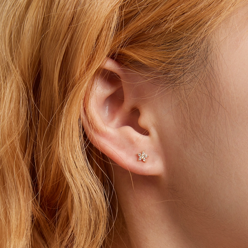(Bild für) Mini-Blumen-Ohrstecker im Pandora-Stil - BSE598-B - Ansicht 6